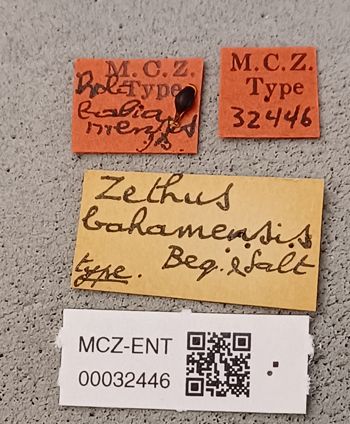 Media type: image;   Entomology 32446 Aspect: labels